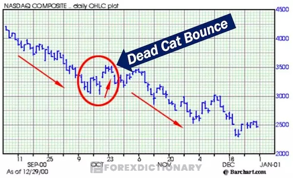 Giải thích hiện tượng Dead Cat Bounce - Cú nảy con mèo chết