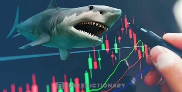 Cá mập trong Forex - Các quỹ đầu cơ và đầu tư