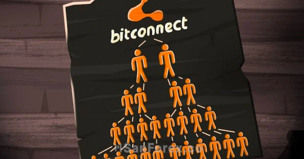 Bitconnect là một hình thức lừa đảo Ponzi điển hình