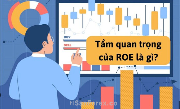 Mức độ ảnh hưởng của ROE trong giao dịch chứng khoán