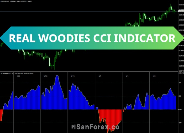 Hệ thống Woodies CCI uy tín và tối ưu tính hiệu quả