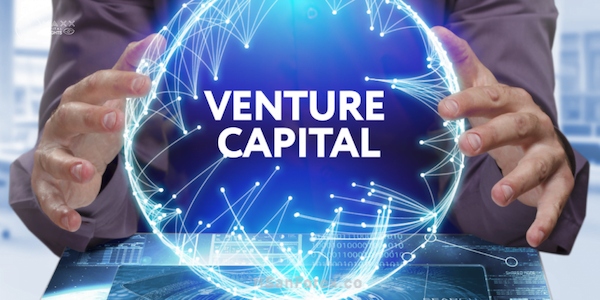 Venture Capital hoạt động dưới dạng một tổ chức đầu tư chuyên nghiệp