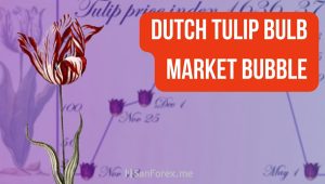 Bong bóng hoa Tulip – Câu chuyện tài chính của Hà Lan thế kỷ XVII